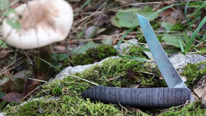 
                    Taschenmesser Damast für Pilzsammler